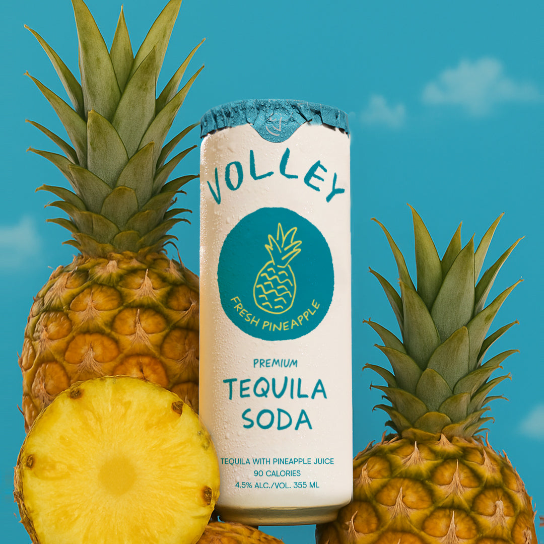 Fresh Pineapple - x48