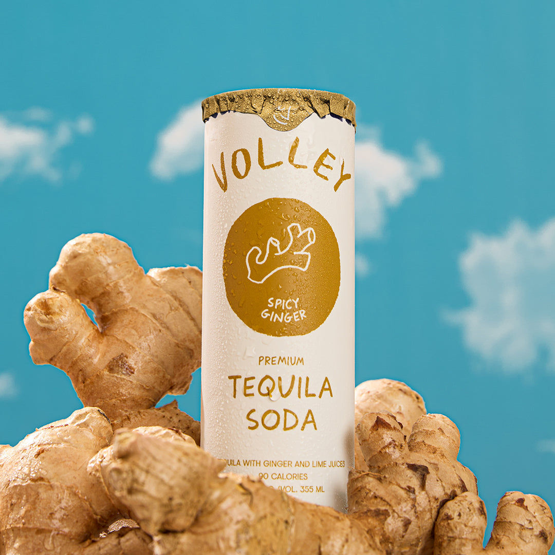 Spicy Ginger - x8